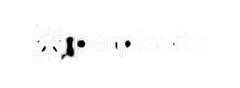 Perplexity